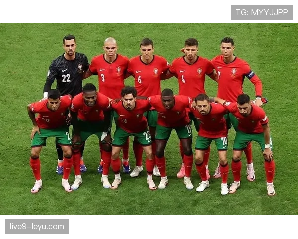 葡萄牙球迷热情如火,点燃赛场助球队冲击佳绩 葡萄牙球迷热情如火,点燃赛场助球队冲击佳绩