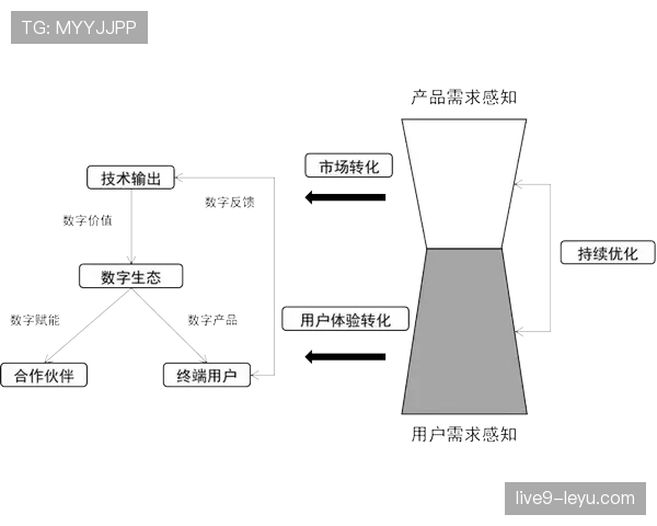 恩佐的上限在哪里：解析其中场核心潜力与能力天花板