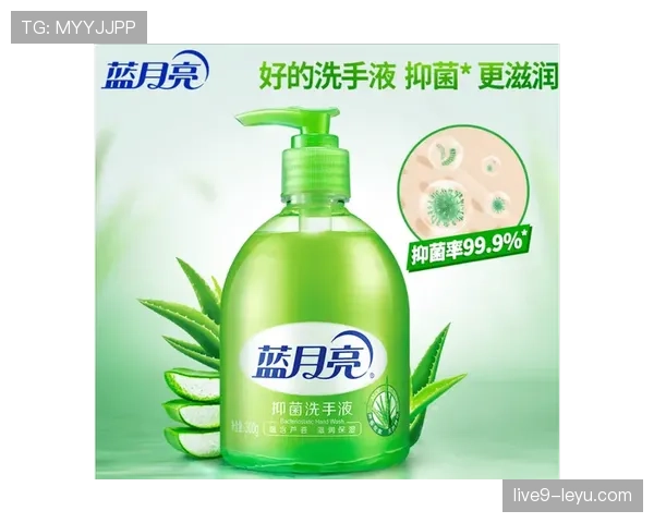库拉索最强阵容深度分析