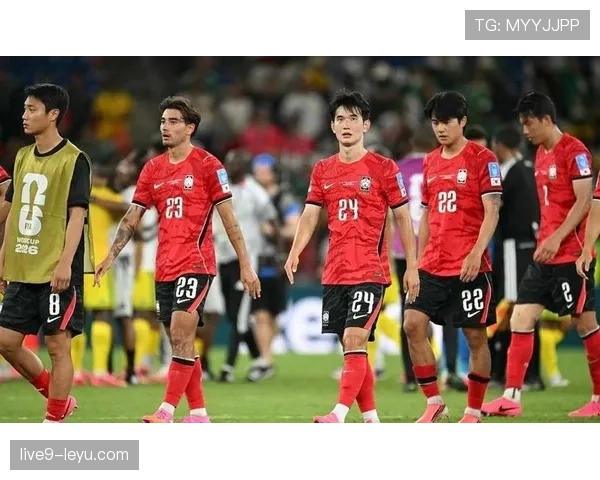 世界杯32强新面孔盘点：首次参赛球队表现汇总